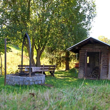 Brauereigasthof Rogg Lenzkirch Ngoại thất bức ảnh